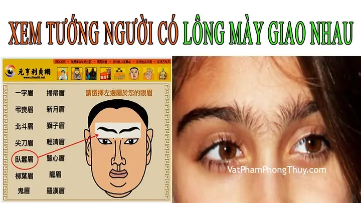 Giải Mã Tướng Lông Mày Nối Nhau (giao Nhau): Tốt Hay Xấu Và Ý Nghĩa Ở Nam, Nữ Giải Mã Tướng Lông Mày Nối Nhau (giao Nhau): Tốt Hay Xấu Và Ý Nghĩa Ở Nam, Nữ