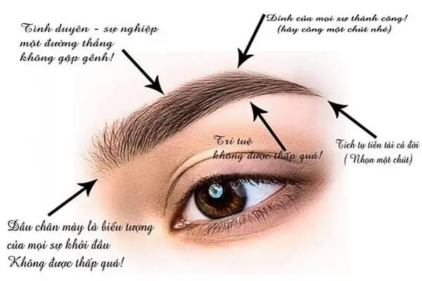 Giải Mã Tướng Lông Mày Nữ: Ý Nghĩa 25+ Kiểu Dáng, Điềm Báo Tốt Xấu Về Tài Lộc & Tình Duyên Giải Mã Tướng Lông Mày Nữ: Ý Nghĩa 25+ Kiểu Dáng, Điềm Báo Tốt Xấu Về Tài Lộc & Tình Duyên