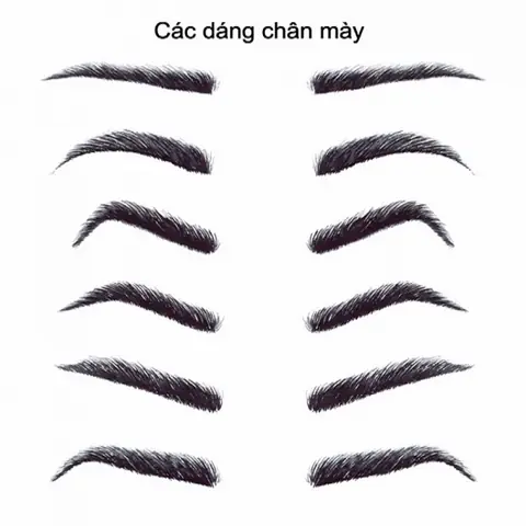 Tổng Hợp Các Tướng Lông Mày Nữ Tốt Và Ý Nghĩa Phong Thủy Cho Phụ Nữ Tổng Hợp Các Tướng Lông Mày Nữ Tốt Và Ý Nghĩa Phong Thủy Cho Phụ Nữ