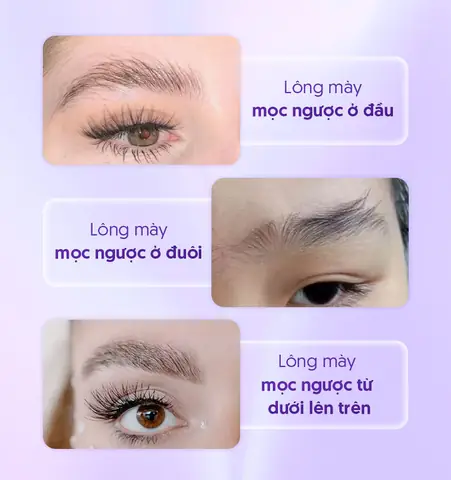 Giải Nghĩa Tướng Lông Mày Trổ Ngược Và Ý Nghĩa Nhân Tướng Học Cho Nam Nữ Giải Nghĩa Tướng Lông Mày Trổ Ngược Và Ý Nghĩa Nhân Tướng Học Cho Nam Nữ