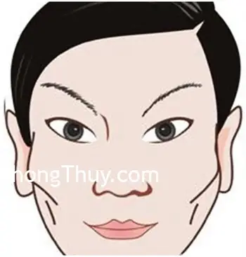 Nhận Diện Tướng Mạo Người Phụ Nữ Vất Vả Qua Các Nét Mặt Và Đặc Điểm Nhân Tướng Học