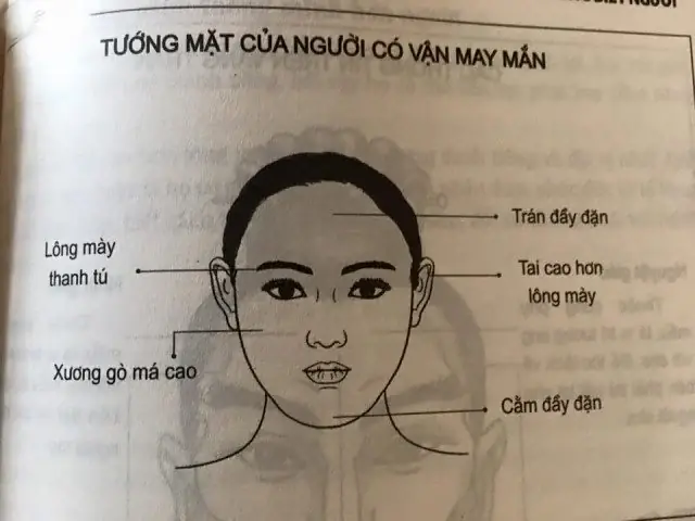 Nhận Diện Tướng Mạo Người Phụ Nữ Vất Vả Qua Các Nét Mặt Và Đặc Điểm Nhân Tướng Học