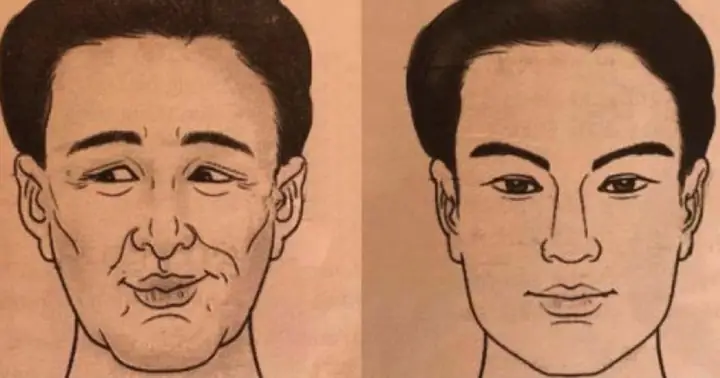 Giải Mã Tướng Mắt Con Ong: Đặc Điểm Nhận Biết, Ý Nghĩa Nhân Tướng Và So Sánh Với Các Loại Mắt Quý Giải Mã Tướng Mắt Con Ong: Đặc Điểm Nhận Biết, Ý Nghĩa Nhân Tướng Và So Sánh Với Các Loại Mắt Quý