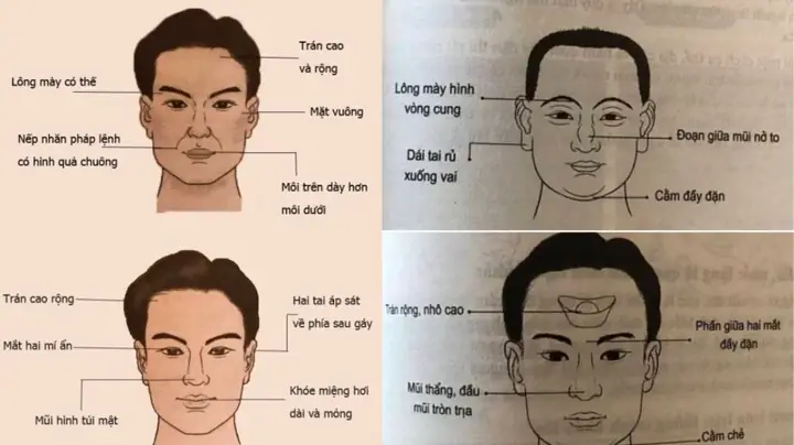 Nhận Diện Đàn Ông Chung Thủy Qua Tướng Mặt: Dấu Hiệu Nhân Tướng Học Cho Phụ Nữ Chọn Bạn Đời Nhận Diện Đàn Ông Chung Thủy Qua Tướng Mặt: Dấu Hiệu Nhân Tướng Học Cho Phụ Nữ Chọn Bạn Đời