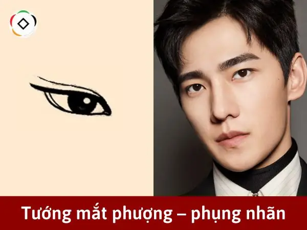 Nhận Diện Tướng Mắt Đàn Ông Phong Lưu Qua Nhân Tướng Học Cho Chị Em Muốn Đọc Vị Tính Cách Nhận Diện Tướng Mắt Đàn Ông Phong Lưu Qua Nhân Tướng Học Cho Chị Em Muốn Đọc Vị Tính Cách