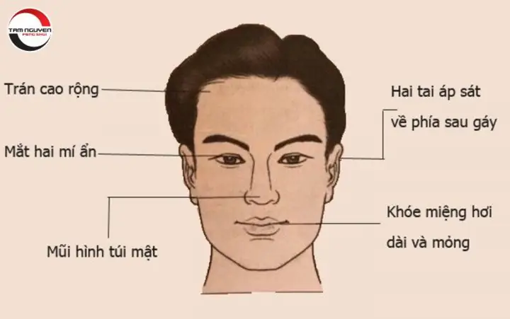 Nhận Diện Tướng Mặt Đàn Ông Tốt Qua Nhân Tướng Học Cho Phụ Nữ Muốn Chọn Đúng Người