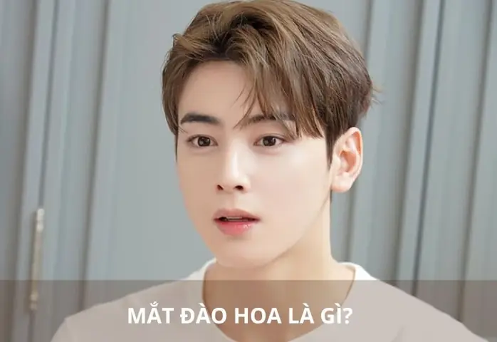 Nhận Diện Tướng Mắt Đào Hoa Sát Qua Nhân Tướng Học Và Ý Nghĩa Cảnh Báo Tình Duyên Nhận Diện Tướng Mắt Đào Hoa Sát Qua Nhân Tướng Học Và Ý Nghĩa Cảnh Báo Tình Duyên