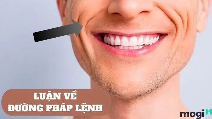Đường Pháp Lệnh Là Gì? Ý Nghĩa Tướng Mặt Đường Pháp Lệnh Dự Đoán Vận Mệnh, Tài Lộc