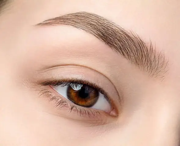 Giải Mã Tướng Mắt Hình Con Ong Trong Nhân Tướng Học: Đặc Điểm Và Ý Nghĩa Vận Mệnh Giải Mã Tướng Mắt Hình Con Ong Trong Nhân Tướng Học: Đặc Điểm Và Ý Nghĩa Vận Mệnh