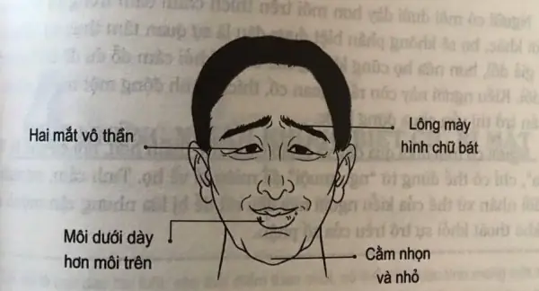 Giải Mã Tướng Mặt Không Đều: Ý Nghĩa Nhân Tướng Học, Nguyên Nhân & Cách Khắc Phục Hiệu Quả Giải Mã Tướng Mặt Không Đều: Ý Nghĩa Nhân Tướng Học, Nguyên Nhân & Cách Khắc Phục Hiệu Quả