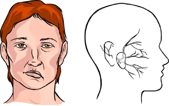 Giải Mã Ý Nghĩa Tướng Mắt Lệch Trong Nhân Tướng Học: Dấu Hiệu Nhận Biết, Vận Mệnh Và Cách Khắc Phục Giải Mã Ý Nghĩa Tướng Mắt Lệch Trong Nhân Tướng Học: Dấu Hiệu Nhận Biết, Vận Mệnh Và Cách Khắc Phục