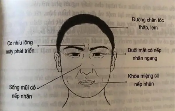 Nhận Diện Tướng Mặt Người Có Mẹ Kế Qua Nhân Tướng Học Khuôn Mặt