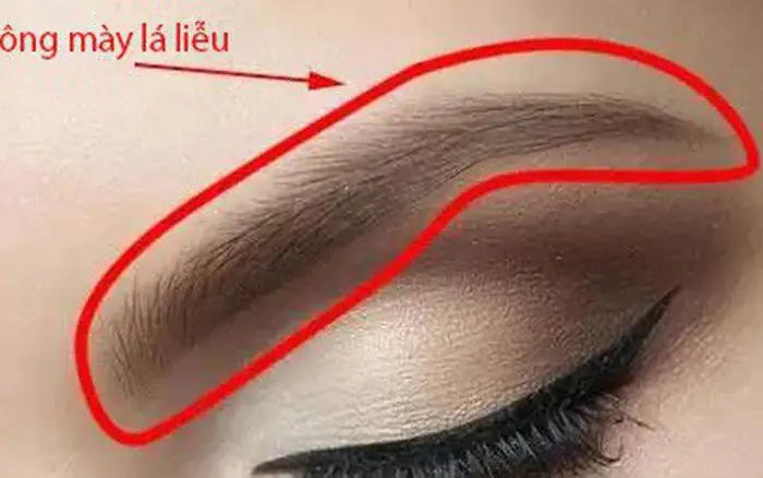 Nhận Diện Tướng Mặt Người Có Mẹ Kế Qua Nhân Tướng Học Khuôn Mặt