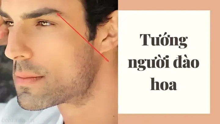 Nhận Diện Tướng Mặt Người Đào Hoa Qua Các Đặc Điểm Nhân Tướng Học Phổ Biến Nhận Diện Tướng Mặt Người Đào Hoa Qua Các Đặc Điểm Nhân Tướng Học Phổ Biến