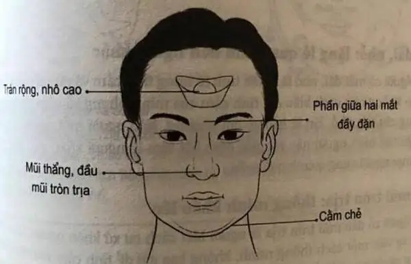 Nhận Diện Tướng Mặt Người Quân Tử: Dấu Hiệu Chính Nhân Qua Nhân Tướng Học Nhận Diện Tướng Mặt Người Quân Tử: Dấu Hiệu Chính Nhân Qua Nhân Tướng Học