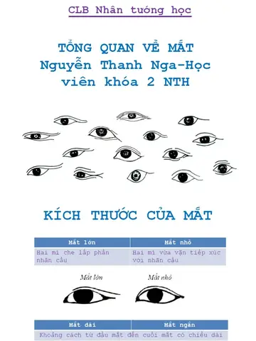 Tổng Hợp Các Dáng Mắt Trong Nhân Tướng Học: Cách Nhận Biết & Giải Mã Ý Nghĩa Vận Mệnh Tổng Hợp Các Dáng Mắt Trong Nhân Tướng Học: Cách Nhận Biết & Giải Mã Ý Nghĩa Vận Mệnh