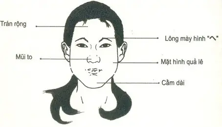 Nhận Diện Tướng Mặt Phụ Nữ Cao Ngạo Qua Đặc Điểm Nhân Tướng Học Nhận Diện Tướng Mặt Phụ Nữ Cao Ngạo Qua Đặc Điểm Nhân Tướng Học
