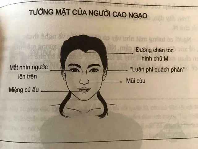 Nhận Diện Tướng Mặt Phụ Nữ Cao Ngạo Qua Đặc Điểm Nhân Tướng Học Nhận Diện Tướng Mặt Phụ Nữ Cao Ngạo Qua Đặc Điểm Nhân Tướng Học
