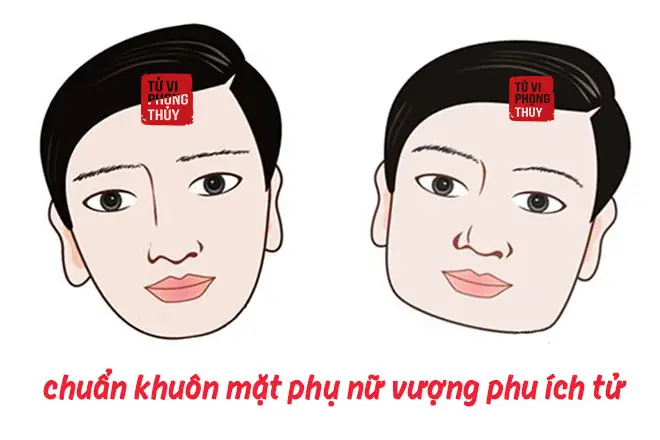 Nhận Biết Phụ Nữ Vượng Phu Ích Tử Qua Đặc Điểm Tướng Mặt Theo Quan Niệm Nhân Tướng Học