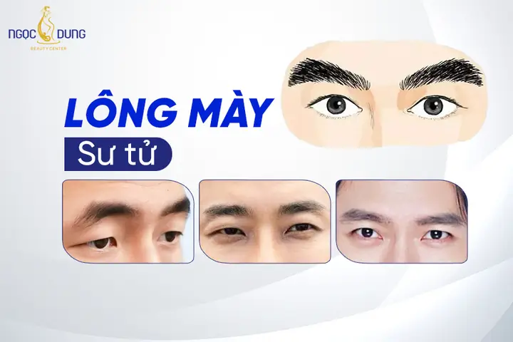 Tướng Mắt Sư Tử Là Gì? Ý Nghĩa, Cách Nhận Biết Và Tướng Số Nam Nữ Chi Tiết Tướng Mắt Sư Tử Là Gì? Ý Nghĩa, Cách Nhận Biết Và Tướng Số Nam Nữ Chi Tiết