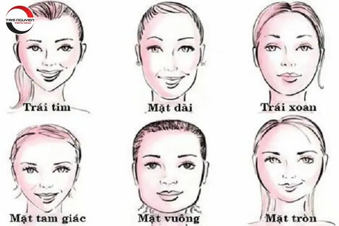 Giải Mã Tướng Số, Tính Cách Và Vận Mệnh Phụ Nữ Mặt Tròn Theo Nhân Tướng Học Chi Tiết Nhất Giải Mã Tướng Số, Tính Cách Và Vận Mệnh Phụ Nữ Mặt Tròn Theo Nhân Tướng Học Chi Tiết Nhất