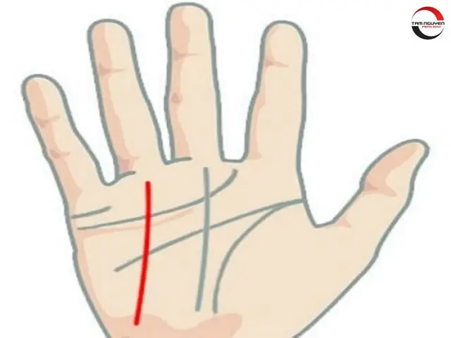 Xem Tướng Mặt Và Chỉ Tay Xuất Ngoại: Các Dấu Hiệu Nhận Biết Chi Tiết, Chuẩn Xác Theo Nhân Tướng Học Xem Tướng Mặt Và Chỉ Tay Xuất Ngoại: Các Dấu Hiệu Nhận Biết Chi Tiết, Chuẩn Xác Theo Nhân Tướng Học