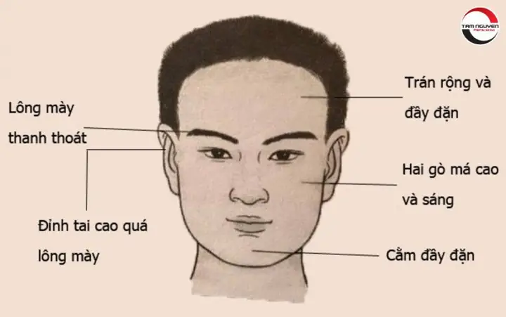 Xem Tướng Mặt Và Chỉ Tay Xuất Ngoại: Các Dấu Hiệu Nhận Biết Chi Tiết, Chuẩn Xác Theo Nhân Tướng Học Xem Tướng Mặt Và Chỉ Tay Xuất Ngoại: Các Dấu Hiệu Nhận Biết Chi Tiết, Chuẩn Xác Theo Nhân Tướng Học