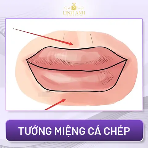 Giải Mã Tướng Miệng Đàn Bà: Phân Loại Các Kiểu Miệng, Đọc Tính Cách & Dự Đoán Vận Mệnh Chi Tiết Giải Mã Tướng Miệng Đàn Bà: Phân Loại Các Kiểu Miệng, Đọc Tính Cách & Dự Đoán Vận Mệnh Chi Tiết