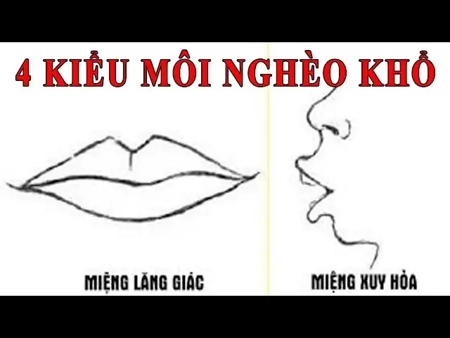 Giải Mã Tướng Miệng Đi Lên: Ý Nghĩa Phúc Lộc, Đặc Điểm Nhận Diễn & So Sánh Với Tướng Miệng Hướng Xuống Giải Mã Tướng Miệng Đi Lên: Ý Nghĩa Phúc Lộc, Đặc Điểm Nhận Diễn & So Sánh Với Tướng Miệng Hướng Xuống