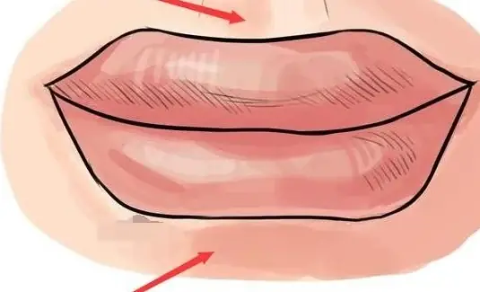 Giải Mã Tướng Miệng Lăng Giác: Đặc Điểm Nhận Diện, Tính Cách & Vận Mệnh Nam Nữ