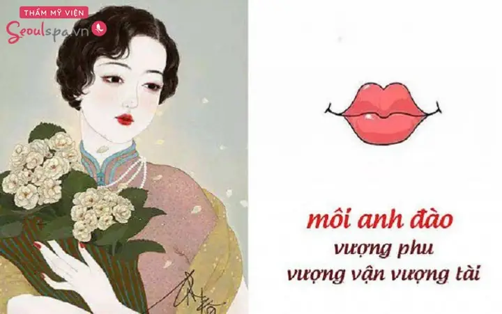 Môi Anh Đào Là Gì? Giải Mã Ý Nghĩa Tướng Số, Vận Mệnh Tốt Xấu Của Nam Và Nữ Môi Anh Đào Là Gì? Giải Mã Ý Nghĩa Tướng Số, Vận Mệnh Tốt Xấu Của Nam Và Nữ