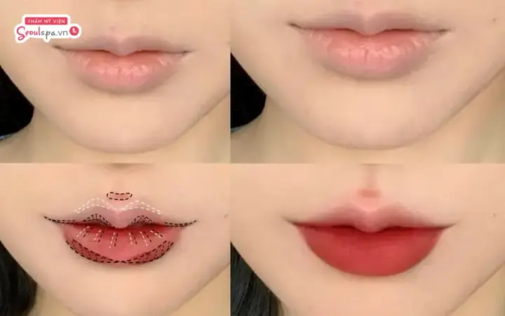 Khám Phá Môi Chữ M Là Gì? Đẹp Hay Xấu Và Ý Nghĩa Trong Phong Thủy & Tướng Mệnh