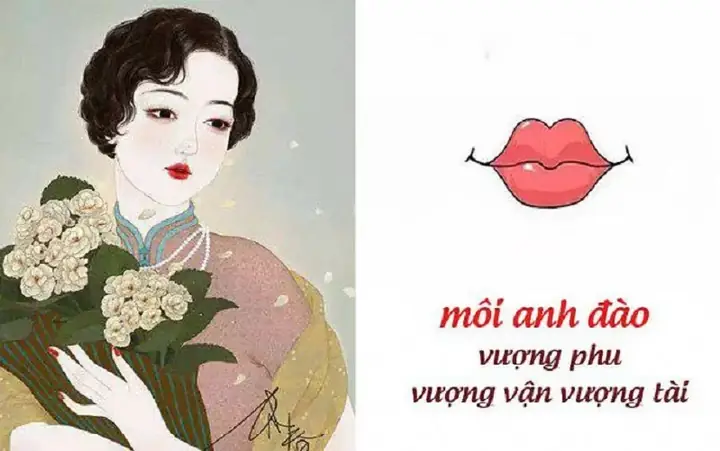 Tướng Môi Hình Anh Đào Là Gì Và Ý Nghĩa Vận Mệnh Ở Nam Và Nữ Tướng Môi Hình Anh Đào Là Gì Và Ý Nghĩa Vận Mệnh Ở Nam Và Nữ