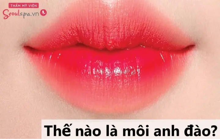 Tướng Môi Hình Anh Đào Là Gì Và Ý Nghĩa Vận Mệnh Ở Nam Và Nữ Tướng Môi Hình Anh Đào Là Gì Và Ý Nghĩa Vận Mệnh Ở Nam Và Nữ