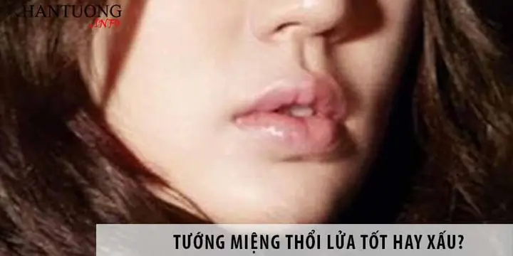 Tướng Môi Thổi Lửa (miệng Xuy Hỏa) Là Gì? Tên Gọi Hán Việt Và Đặc Điểm Nhận Diện Chi Tiết