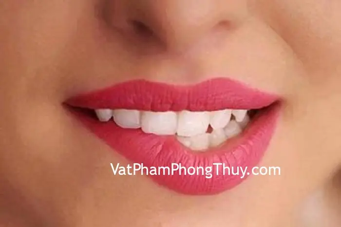 Tướng Môi Thổi Lửa (miệng Xuy Hỏa) Là Gì? Tên Gọi Hán Việt Và Đặc Điểm Nhận Diện Chi Tiết