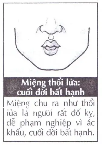 Tướng Môi Thổi Lửa (miệng Xuy Hỏa) Là Gì? Tên Gọi Hán Việt Và Đặc Điểm Nhận Diện Chi Tiết
