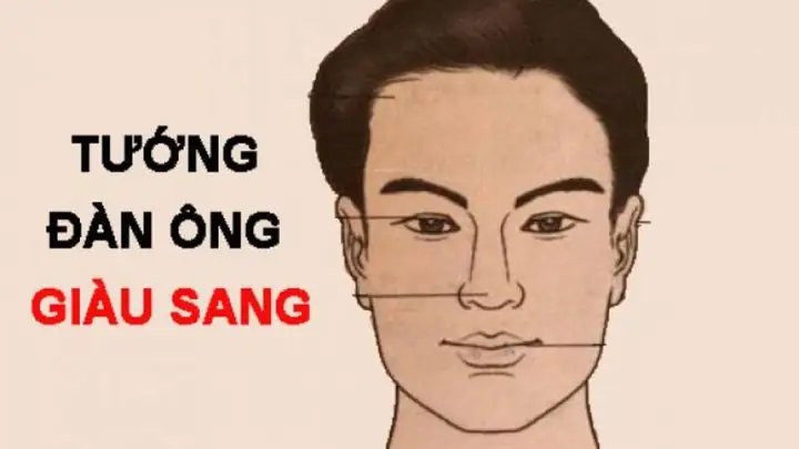 Xem Tướng Mũi Đàn Ông Đoán Vận Mệnh: Các Dáng Mũi Tốt Và Xấu Xem Tướng Mũi Đàn Ông Đoán Vận Mệnh: Các Dáng Mũi Tốt Và Xấu