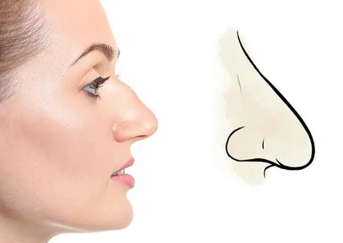 Giải Mã Tướng Mũi Gấp Khúc: Ý Nghĩa Nhân Tướng, Tính Cách, Vận Mệnh & Cách Khắc Phục Giải Mã Tướng Mũi Gấp Khúc: Ý Nghĩa Nhân Tướng, Tính Cách, Vận Mệnh & Cách Khắc Phục