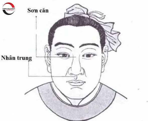 Tổng Hợp 7 Tướng Mũi Giàu Sang, Phú Quý Điển Hình Trong Nhân Tướng Học (nam & Nữ)