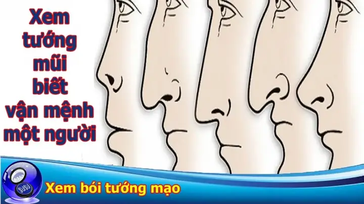 Tổng Hợp Tướng Mũi Nghèo Hèn: 17+ Đặc Điểm Nhận Diện, Phân Biệt Nam/nữ & So Sánh Tướng Mũi Giàu Sang