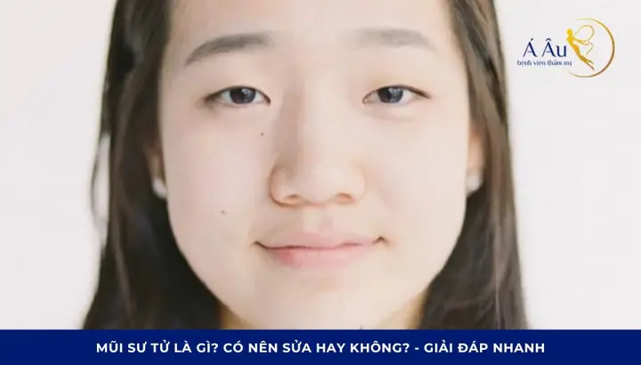 Tìm Hiểu Mũi Sư Tử Là Gì: Đặc Điểm Và Ý Nghĩa Tướng Số Trong Nhân Tướng Học Tìm Hiểu Mũi Sư Tử Là Gì: Đặc Điểm Và Ý Nghĩa Tướng Số Trong Nhân Tướng Học