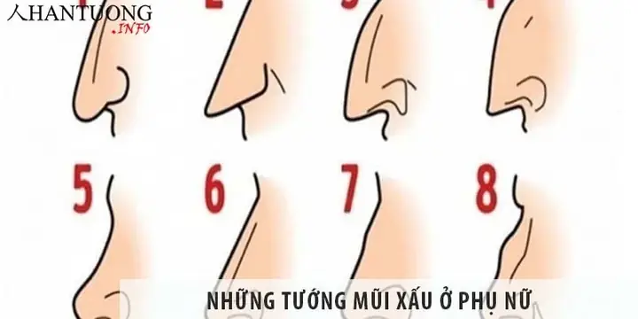 Tổng Hợp Các Tướng Mũi Xấu Ở Phụ Nữ Theo Nhân Tướng Học Và Ý Nghĩa Vận Mệnh Tổng Hợp Các Tướng Mũi Xấu Ở Phụ Nữ Theo Nhân Tướng Học Và Ý Nghĩa Vận Mệnh