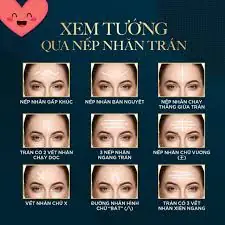 Giải Mã Tướng Nếp Nhăn Trên Trán Đàn Ông Theo Nhân Tướng Học Và Ý Nghĩa Vận Mệnh