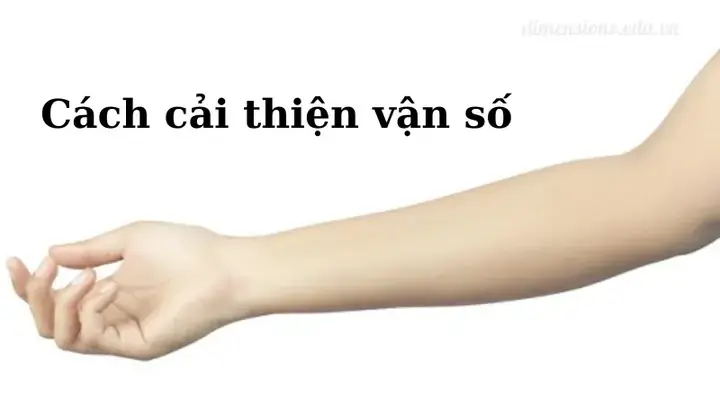 Giải Mã Tướng Người Có Cánh Tay Dài: Ý Nghĩa Vận Mệnh Và Tài Lộc Theo Nhân Tướng Học Giải Mã Tướng Người Có Cánh Tay Dài: Ý Nghĩa Vận Mệnh Và Tài Lộc Theo Nhân Tướng Học