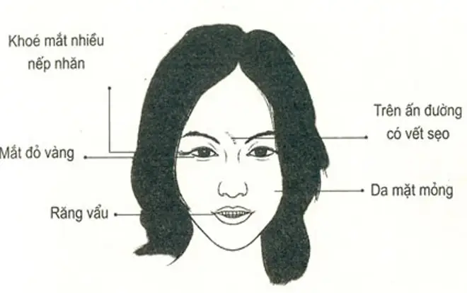 Tướng Người Da Mặt Mỏng Là Gì? Ý Nghĩa Nhân Tướng Học, Tính Cách Và Vận Mệnh Nam Nữ Chi Tiết