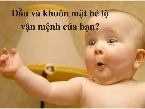 Giải Mã Tướng Người Đầu Nhỏ: Ý Nghĩa Nhân Tướng, Điềm Báo Vận Mệnh Và Sự Thật Về Câu "đầu Nhỏ Bàn Chân To" Giải Mã Tướng Người Đầu Nhỏ: Ý Nghĩa Nhân Tướng, Điềm Báo Vận Mệnh Và Sự Thật Về Câu "đầu Nhỏ Bàn Chân To"