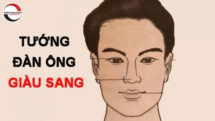 Dấu Hiệu Tướng Người Giàu Sang Trên Gương Mặt Và Cơ Thể Chuẩn Nhất Theo Nhân Tướng Học