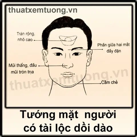 Dấu Hiệu Tướng Người Giàu Sang Trên Gương Mặt Và Cơ Thể Chuẩn Nhất Theo Nhân Tướng Học