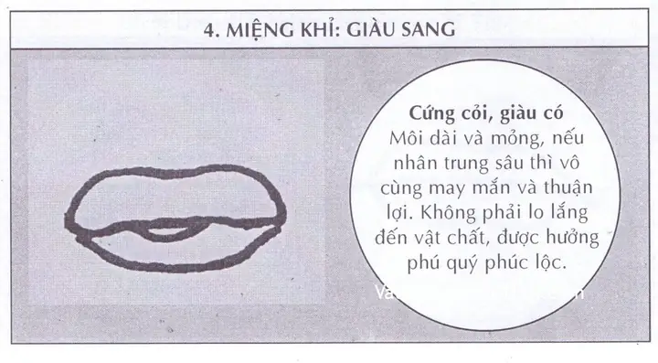 Giải Mã Tướng Mặt Khỉ: Đặc Điểm Nhận Diện, Tính Cách & Vận Mệnh Theo Nhân Tướng Học Giải Mã Tướng Mặt Khỉ: Đặc Điểm Nhận Diện, Tính Cách & Vận Mệnh Theo Nhân Tướng Học